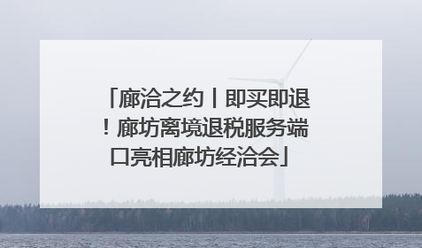 廊洽之约丨即买即退！廊坊离境退税服务端口亮相廊坊经洽会